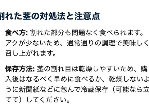 1kg｜信州産｜氷点下で育つ濃厚甘い露地ほうれん草