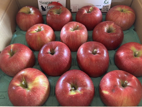 サクサク甘～いシナノスイート5kg(家庭用)