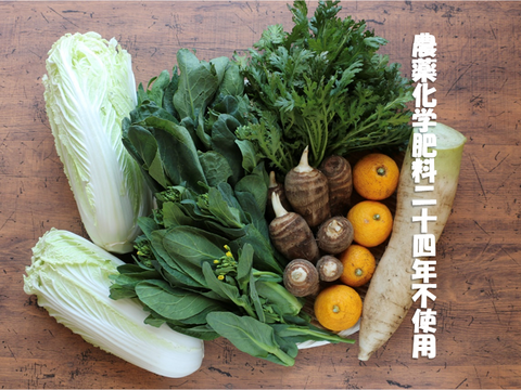 🌿農家のミントつき☕❗❗農薬不使用🎵🎵【数量限定❗❗】子供に食べさせたい野菜（５品目～７品目）😋🍚🎵🎵ばぁばのモノスゴイ野菜🍅🍆🌽✨✨✨✨✨