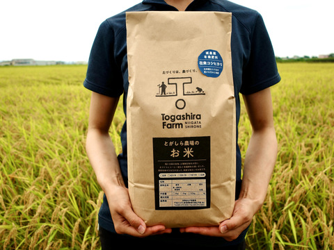 令和7年産 在来(従来)コシヒカリ 玄米５kg【新潟県の希少】