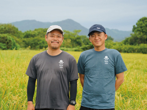 令和6年産　希少な青玄米（うるち米）5キロ×4 数量限定 令和6年産 玄米 秋田県産あきたこまち 5㎏ | 999-400444 | 【公式】