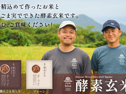 【栄養たっぷり美味しさ満点酵素玄米えごま実入150g×5個セット】忙しい日常や非常時でもしっかり栄養を取りたい方に、佐賀県産の有機米イセヒカリを使用した3日間熟成酵素玄米をお届けします。(5個セット)