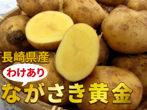 【わけあり商品】希少品種！『ながさき黄金』10kg