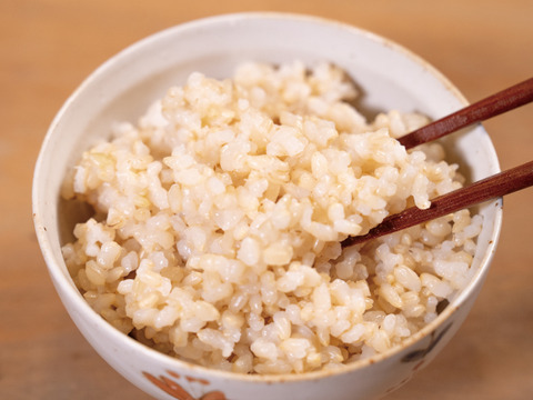 るぅ　イセヒカリ玄米5kg 2024 完売× 2024年度産 玄米 コシヒカリ 5kg ※次回2025年度産米は9月