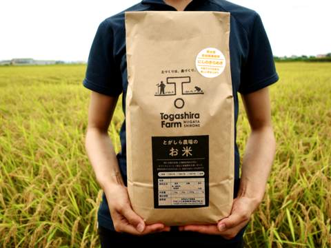 🏆未来を耕すお米賞【にじのきらめき白米5kg】【節水型乾田直播栽培】新しい栽培方法の特別なお米限定販売/新潟県令和７年産新米