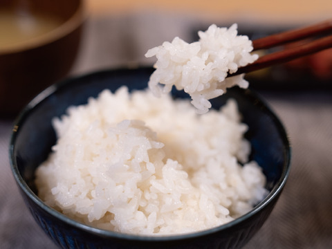 【希少品種】 イセヒカリ2㎏｜令和6年産佐賀県産 有機米の幻の美味しいお米(イセヒカリ 白米 2kg)