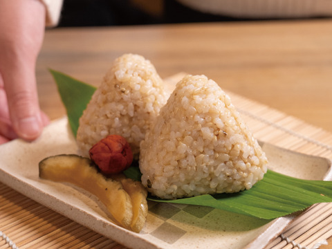 希少な幻のお米イセヒカリ5㎏令和6年産 佐賀県産 有機米