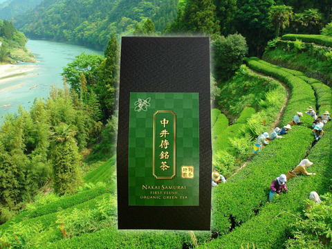 【2023年新茶】中井侍銘茶 45g 品種:やぶきた