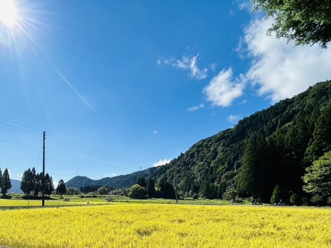 【令和6年新米】長良川水輝　郡上産コシヒカリ　白米5kg