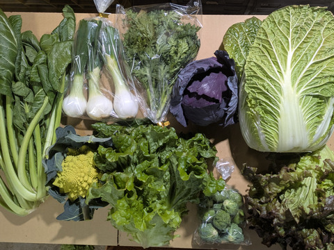 ❄☃️７品冬の野菜セット☃️❄