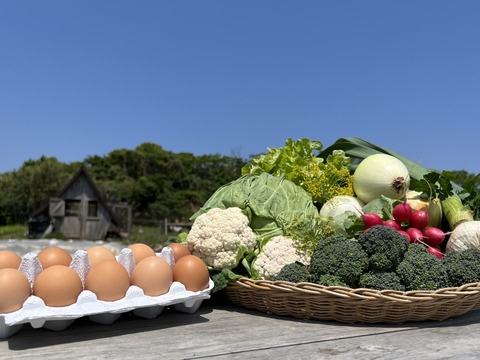 【有機JAS認証取得】🌱安心島の旬野菜と平飼いたまご10個セット🥬🥚Organic Vegetables&10Eggs