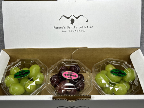 お楽しみぶどう粒200gx3パック詰めシャインマスカット☆ピオーネ☆ゴルビー☆マイハート【訳ありご家庭用】