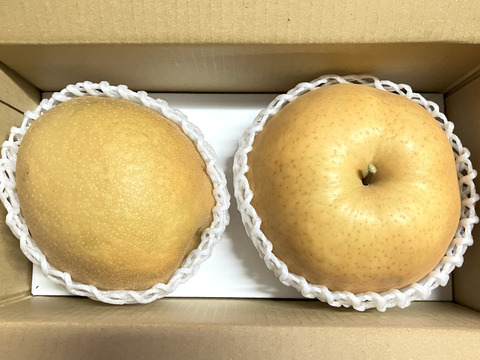 【冬ギフト】鳥取県産 冬の梨食べ比べセット 2玉入り(王秋・あたご2kg)