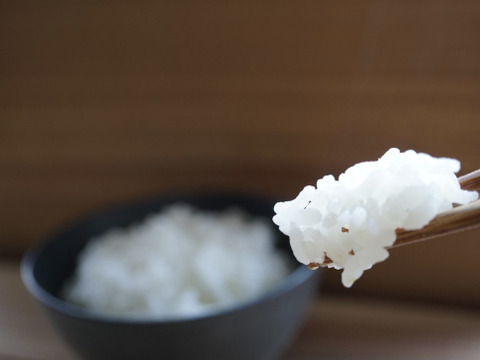 R5年産 特別栽培米ゆめぴりか 白米10k 【ネオニコチノイド不使用】