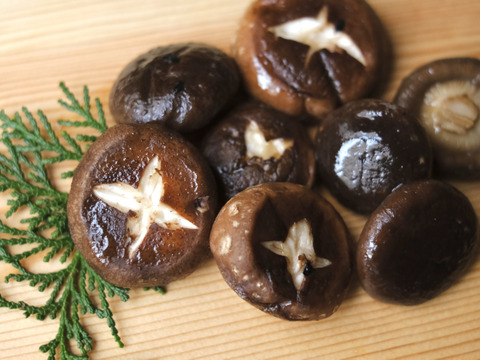 コロコロ椎茸600g