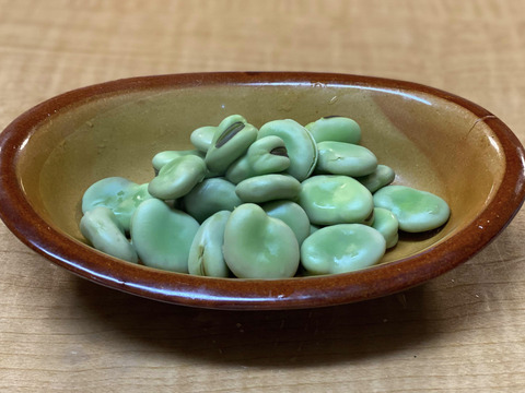 初夏の旬！🫛✨オーガニック空豆　1kg 
Organic Fava beans 【有機JAS認証取得】