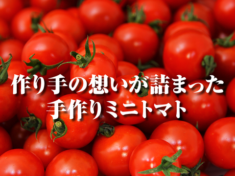 【食べ比べ】【極み】ソムリエトマト１.３kg （６玉から１０玉）ソムリエミニトマト　プラチナ500g　ダイヤ500gのセット