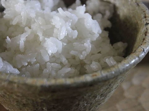 【農薬不使用】想いを込めた"幻"のお米 ササシグレ【20kg玄米】