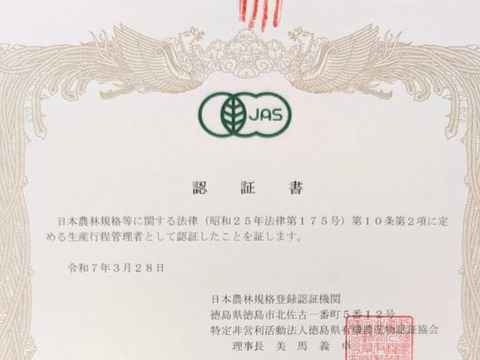 茹でて◎炒めて◎有機スナップエンドウ 2kg