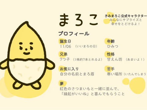 白いサツマイモ　きみまろこ（２㎏）