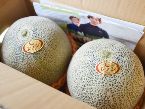 【赤肉】レノンメロン（1玉1.2キロ以上）2玉