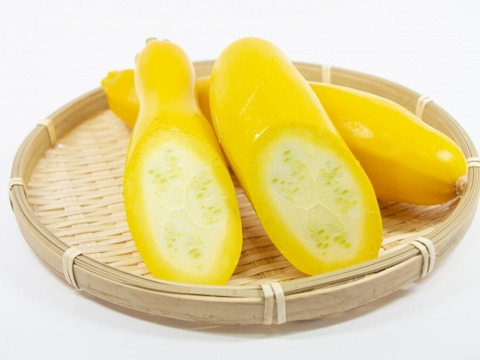 【栽培期間中　農薬不使用】主役にも、脇役にもなれる！肉厚ズッキーニ　黄色（60サイズの箱にはいるだけ！）