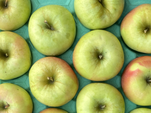 【販売開始！】青森県産りんご「ぐんま名月」家庭用 キズ有 約5kg 【光センサー選果・高リピート率】