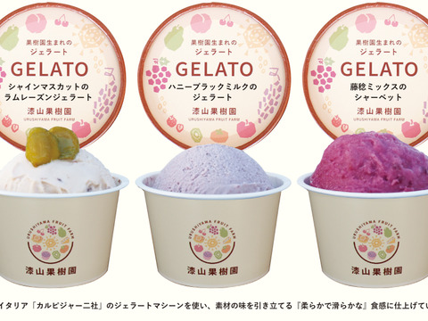 【ふるさとギフト大賞最高賞】ギフトに◎果樹園生まれの3種のぶどうジェラート