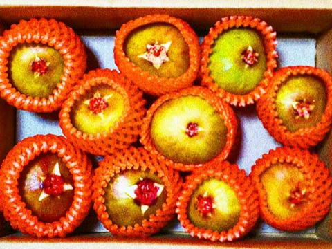 【朝どり】いちじく ホウライシ１キロ