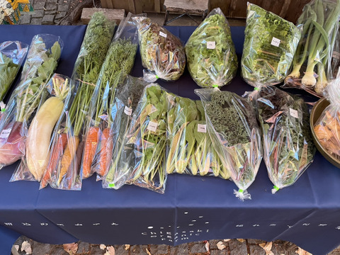 とりたての旬野菜セット１０種類前後 【農薬・化学肥料不使用】