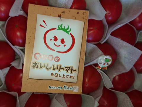 【フルーツトマトファンに】トマトハウス夢風船の高濃度フルーツトマト『おいしいトマト』（Mサイズ約２ｋｇ）