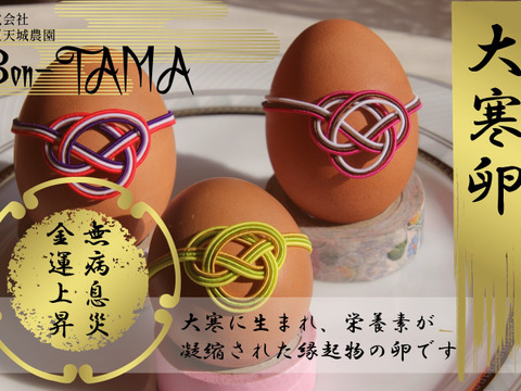 【大寒卵】無病息災・金運上昇の縁起物・平飼い養鶏卵『Bon-TAMA』M~Lサイズ（30個入り）