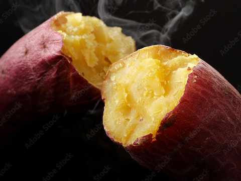 さつまいも 紅はるか 農薬化学肥料不使用 有機 肥料のみ 【新発売】紅はるか 訳あり 約9.5Kg　10ｋｇ箱 千葉県産 B品S~Lサイズ