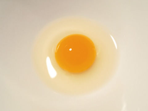命のカプセル（うずらの生卵）卵40個