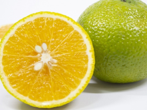 【限定・早割　1月発送予約受付中】樹上完熟スイートスプリング　5㎏