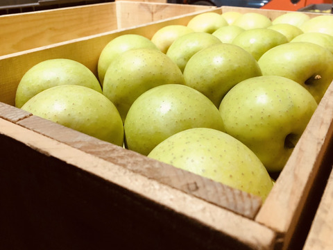 【数量限定大特価!!】約５キロ 青森県産りんご「樹上完熟葉とらず王林ちゃん」家庭用厳選品