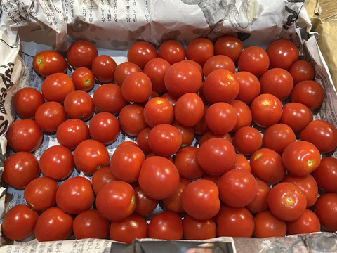 期間限定：今年もできました！ミニトマト1ｋｇ