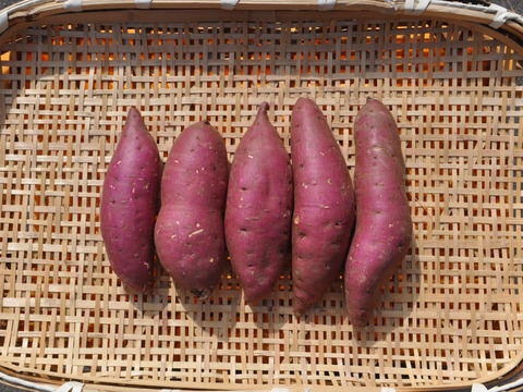 【Symphony様専用商品】シルクスイート10kgMサイズ　紅はるか5kgMサイズ