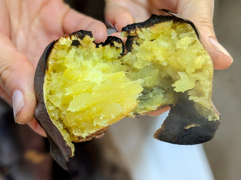 🍠しっとりなめらか🍠『シルクスイート』美味しいさつまいも【宮崎県産】6kg