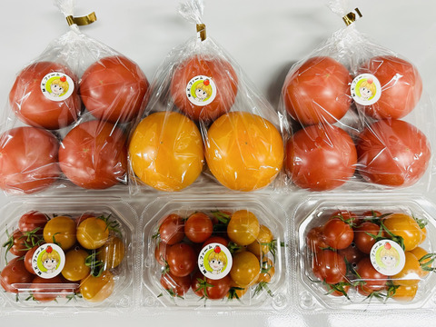 パリッと！新鮮！大玉トマト＋ミニトマトの4品種ランダムお楽しみセット【3袋＋3パック】