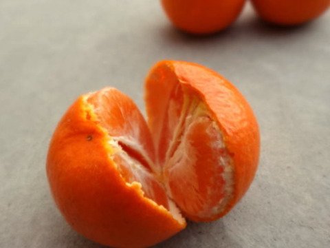 せとかの親系統品種で話題！やみつきになる「甘み」と「味わい」！「蜜之望（みつののぞみ）」　サイズ混合　お試し品　約２ｋｇ【346】