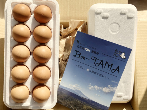 【採れたて新鮮たまご】平飼い養鶏卵『Bon-TAMA』M~Lサイズ・20個入り