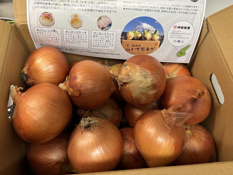 【祝!3年連続金賞🏆】淡路島玉ねぎ5kg