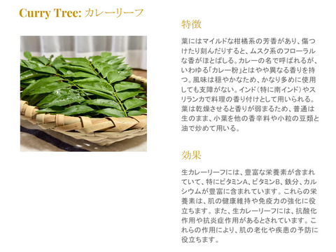 【沖縄県産、摘みたて出荷】カレーリーフ 30g