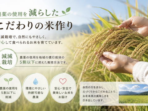 新潟県産コシヒカリ《白米10k》