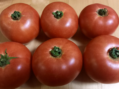 セレブスイートトマト　400g