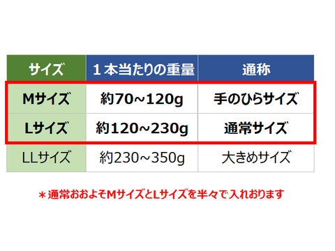 《Mサイズのみ》こばさんちの安納芋 ５KG  五島産 自然農業での栽培