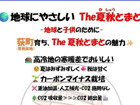 おいしさと環境配慮のハーモニ―『The夏秋とまと』(夏/赤-ピンク/A品/2.5キロ前後)