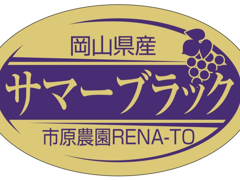 岡山県産　【訳あり✨お買得】2房入りサマーブラック🍇