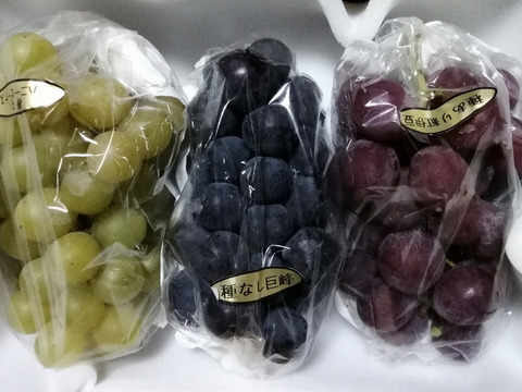 ✨🍇第一弾　2024ぶどう3種食べ比べセット🍇✨
　　　紅伊豆　・　ハニービーナス　・　巨峰
【ご家庭用・中房各１房入・計約1.3㌔位入】